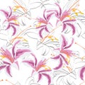 Beautiful pink, black and white seamless pattern with lilies. Hand-drawn contour lines. design greeting card. Royalty Free Stock Photo