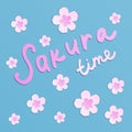 Beautiful pink blooming sakura flowers on blue background