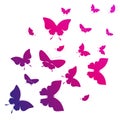 Beautiful pink butterflies, isolated on a white