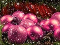 Beautiful pink Christams balls and spruce needles