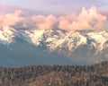 Beautiful pink clouds rolling over snow capped mountains. Green tree line. USA National Park Royalty Free Stock Photo