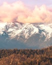 Beautiful pink clouds rolling over snow capped mountains. Green tree line. USA National Park Royalty Free Stock Photo