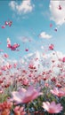 Beautiful Pink cosmos flowers and butterflies on blue sky background with copy space. Cosmos flowers with butterfly flying in the Royalty Free Stock Photo