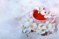 A beautiful pink cup with hot tea and white flowers all around. Valentine's Day, Happy Women's Day. Copy space. Royalty Free Stock Photo