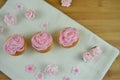 Beautiful pink cupcakes with iced flowers for a mothers day gift Royalty Free Stock Photo