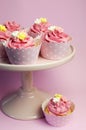 Beautiful pink cupcakes in star holders on pink cake stand