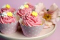 Beautiful pink decorated cupcakes on pink cake stand - Close up with bokeh.