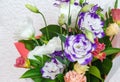 Beautiful pink eustoma flowers isolated on white background