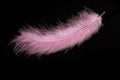 Beautiful pink feather on black background Royalty Free Stock Photo