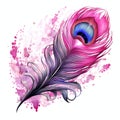 beautiful pink feather of a peacock clipart illustration Royalty Free Stock Photo