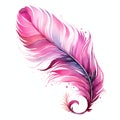 beautiful pink feather of a peacock clipart illustration Royalty Free Stock Photo