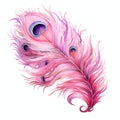 beautiful pink feather of a peacock clipart illustration Royalty Free Stock Photo