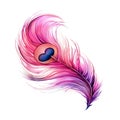 beautiful pink feather of a peacock clipart illustration Royalty Free Stock Photo