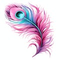 beautiful pink feather of a peacock clipart illustration Royalty Free Stock Photo