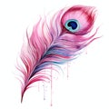 beautiful pink feather of a peacock clipart illustration Royalty Free Stock Photo