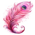 beautiful pink feather of a peacock clipart illustration Royalty Free Stock Photo