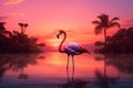 Beautiful pink flamingo in lake with reflection on beautiful sunset background. AI Royalty Free Stock Photo