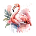 Beautiful pink flamingo with palm leaves painted in watercolor Royalty Free Stock Photo