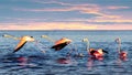 Beautiful pink flamingos in a blue sea lagoon at sunset. Mexico. Celestun. Wild nature.