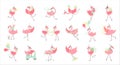 Beautiful pink flamingos set. Cute flamingo in different situations, exotic bird characters cartoon vector illustration Royalty Free Stock Photo