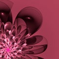 Beautiful pink flower in fractal design. Artwork for creative de