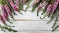 Beautiful pink flower heather frame (calluna vulgaris, erica, ling) on white rustic background Royalty Free Stock Photo