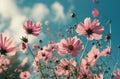 beautiful pink flowers against blue sky Royalty Free Stock Photo