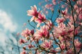 beautiful pink flowers against blue sky Royalty Free Stock Photo