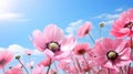 Beautiful pink flowers anemones and ladybug in spring nature outdoors