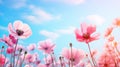 Beautiful pink flowers anemones and ladybug in spring nature