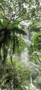 The Air Terjun Benang Kelambu waterfall in Lombok, Indonesia