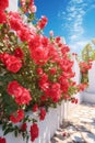 Beautiful pink flowers of bougainvillea on the facade 1690447672659 5
