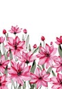 Beautiful pink flowers with green stems and leaves on white background. Seamless floral pattern. Watercolor painting.