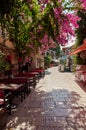 Beautiful pink flowers in Street of old town Kaleici in Antalya Royalty Free Stock Photo