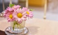 Beautiful pink flowers in vase.Gerbera flowers on the vase, isolated white background. Royalty Free Stock Photo