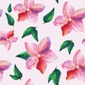 Beautiful pink flowers watercolor. pink flowers on a white background