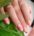 Beautiful pink French manicure with abstract design. Women`s fingers with beautiful long nails on a background of green leaves.