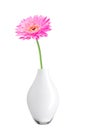 Beautiful pink gerbera daisy flower in vase Royalty Free Stock Photo