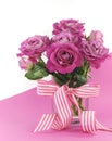 Beautiful pink gift of roses on pink and white background Royalty Free Stock Photo