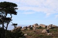 The beautiful Pink Granite Coast