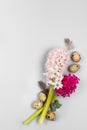 Beautiful pink hyacinths with quail eggs and feathers on a light gray background. Spring and easter holiday concept with copy Royalty Free Stock Photo