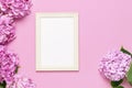 Beautiful pink hydrangea flowers, white wooden photo frames on pink background top view flat lay copy space. Flower card. Holiday Royalty Free Stock Photo