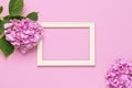 Beautiful pink hydrangea flowers, white wooden photo frames on pink background top view flat lay copy space. Flower card. Holiday Royalty Free Stock Photo