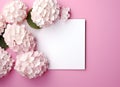 Beautiful pink hydrangea flowers, white wooden photo frames on pink background top view flat lay copy space. Flower card Royalty Free Stock Photo