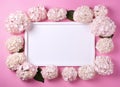 Beautiful pink hydrangea flowers, white wooden photo frames on pink background top view flat lay copy space. Flower card Royalty Free Stock Photo