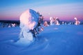 Beautiful pink and lilac sunset in a cold wintery day in winter wonderland of Finnish Lapland Royalty Free Stock Photo