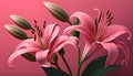 Beautiful pink lily flowers on a pink background with space for text Royalty Free Stock Photo