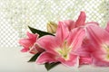 Beautiful pink lily flowers on white table, closeup Royalty Free Stock Photo