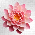 Beautiful pink lotus flower isolated on transparent background Royalty Free Stock Photo