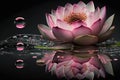 Beautiful pink lotus flower on water, organic nature background, generated ai Royalty Free Stock Photo